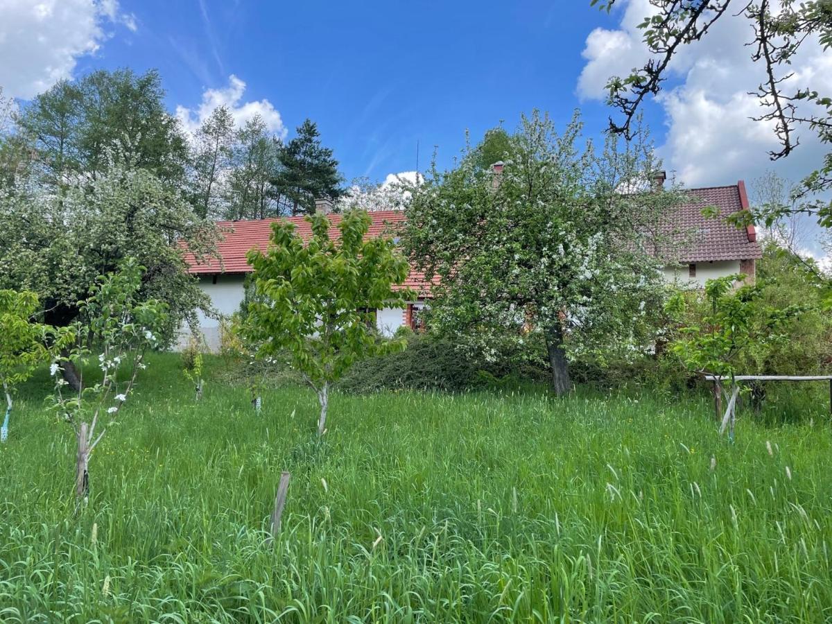 Hlinne V Orlickych Horach Dobre Exterior photo